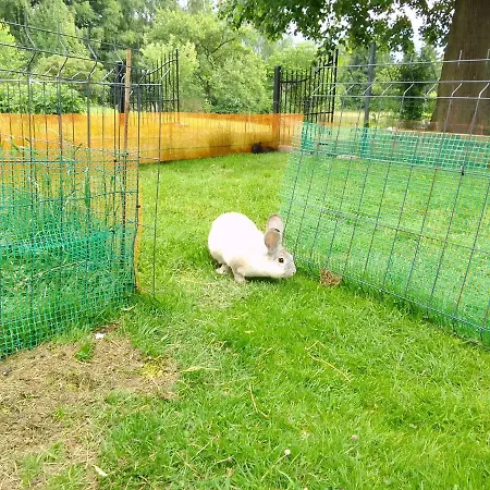 Dom wakacyjny W Gorach Izerskich 4 I 6 Osobowy, Agroturystyka, Zywe Zwierzeta, W Pelni Wyposazone, Plac Zabaw Dla Dzieci, Ognisko Z Kijkami I Rusztem, Ogrzewanie I Klimatyzacja, Latem Basen Mirsk