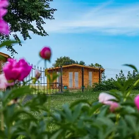 W Gorach Izerskich 4 I 6 Osobowy, Agroturystyka, Zywe Zwierzeta, W Pelni Wyposazone, Plac Zabaw Dla Dzieci, Ognisko Z Kijkami I Rusztem, Ogrzewanie I Klimatyzacja, Latem Basen