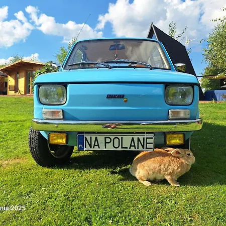 Hébergement de vacances Polana Giebultow Obok Swieradowa I Zamku Czocha, Przyjazne Rodzinom Z Dziecmi
