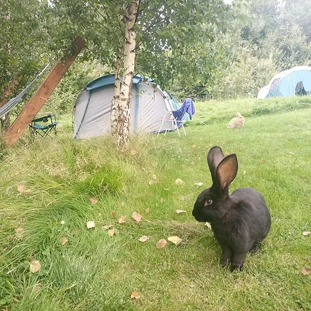 Polana Giebultow Obok Swieradowa I Zamku Czocha, Przyjazne Rodzinom Z Dziecmi *