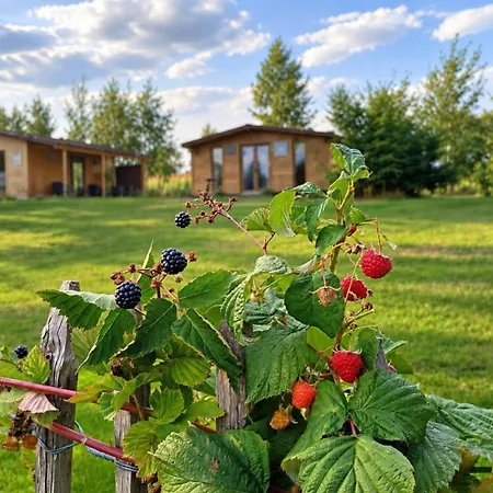 Agroturystyka Polana Giebultow Obok Swieradowa I Zamku Czocha, Domki Caloroczne, Ogrzewanie, Klimatyzacja, Sauna - Zapytaj O Dostepnosc Casa vacanze