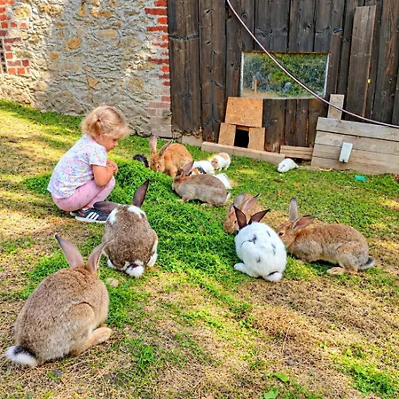 Agroturystyka Polana Giebultow Obok Swieradowa I Zamku Czocha, Domki Caloroczne, Ogrzewanie, Klimatyzacja, Sauna - Zapytaj O Dostepnosc Mirsk