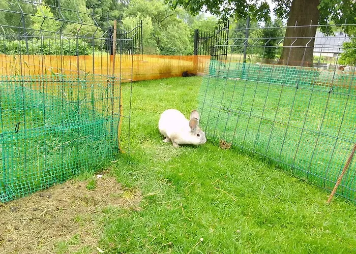 Dom wakacyjny W Górach Izerskich 4 I 6 Osobowy, Agroturystyka, żywe Zwierzęta, W Pełni Wyposażone, Plac Zabaw Dla Dzieci, Ognisko Z Kijkami I Rusztem, Ogrzewanie I Klimatyzacja, Latem Basen Mirsk