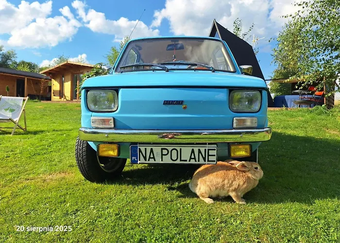 Dom wakacyjny W Górach Izerskich 4 I 6 Osobowy, Agroturystyka, żywe Zwierzęta, W Pełni Wyposażone, Plac Zabaw Dla Dzieci, Ognisko Z Kijkami I Rusztem, Ogrzewanie I Klimatyzacja, Latem Basen