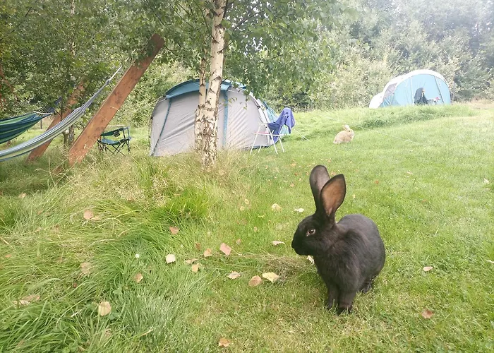 W Górach Izerskich 4 I 6 Osobowy, Agroturystyka, żywe Zwierzęta, W Pełni Wyposażone, Plac Zabaw Dla Dzieci, Ognisko Z Kijkami I Rusztem, Ogrzewanie I Klimatyzacja, Latem Basen *